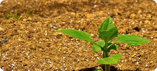 野菜作りについて!土の基本と土の耕し方