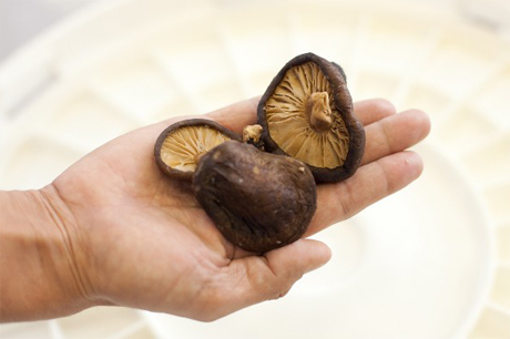 栄養がつまった干し野菜の作り方!