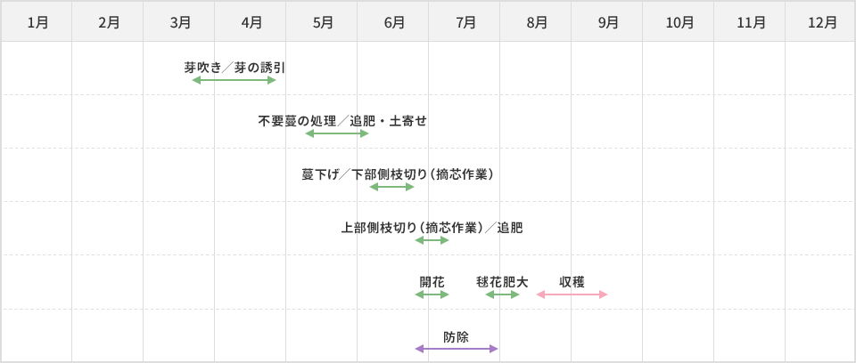 栽培スケジュール