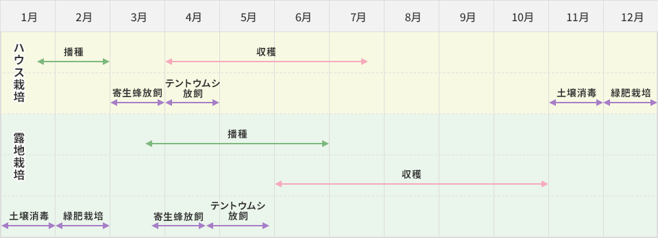 栽培スケジュール