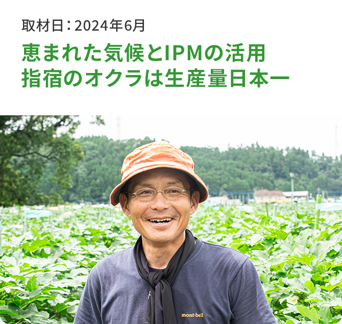 恵まれた気候とIPMの活用 指宿のオクラは生産量日本一 取材日:2024年6月
