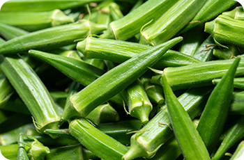 恵まれた気候とIPMの活用 指宿のオクラは生産量日本一