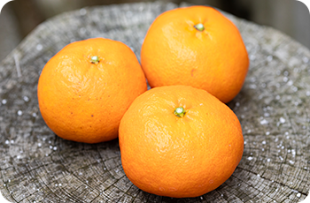 甘い果実に平らな見た目、名前はもちろん愛媛の「甘平」