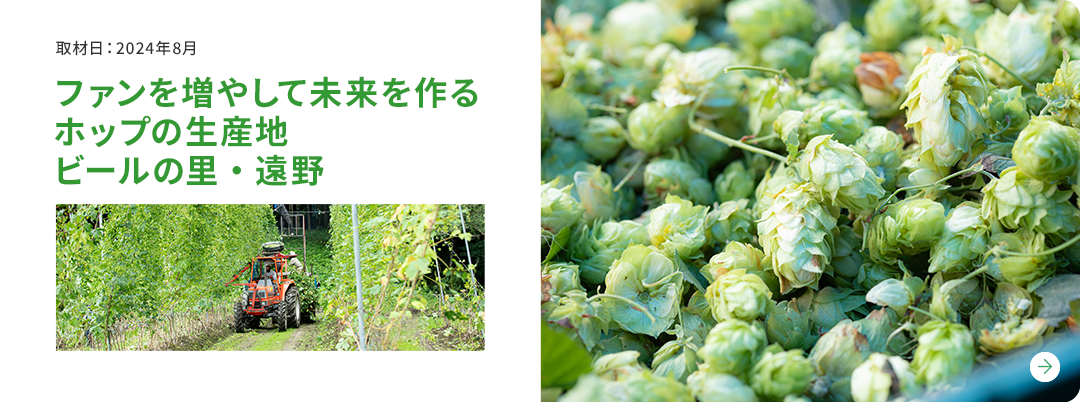 ファンを増やして未来を作るホップの生産地 ビールの里・遠野 取材日:2024年8月