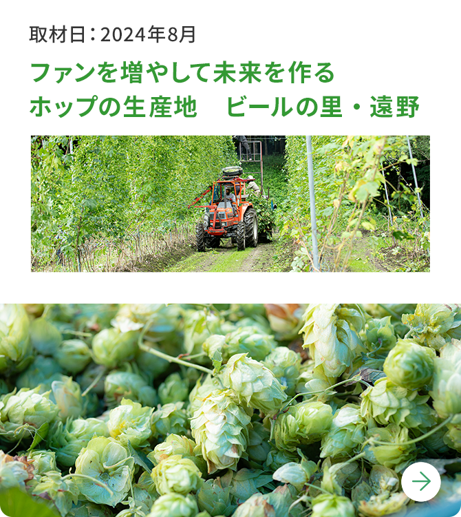 ファンを増やして未来を作るホップの生産地 ビールの里・遠野 取材日:2024年8月