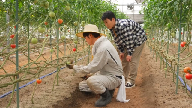 のーやくは使っても大丈夫？編