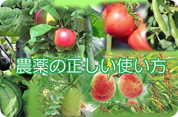 農薬の正しい使い方(動画)