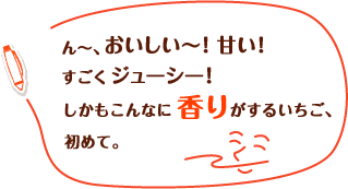 ん~、おいしい~!甘い!すごくジューシー!しかもこんなに香りがするいちご、初めて。