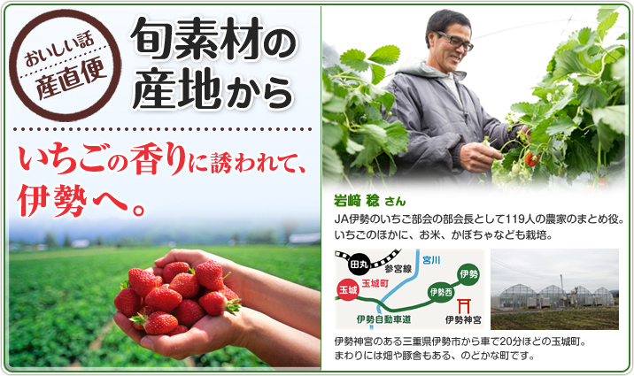 旬素材の産地から いちごの香りに誘われて、伊勢へ。