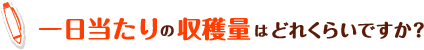 一日当たりの収穫量はどのくらいですか?