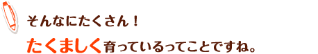 そんなにたくさん!たくましく育っているってことですね。
