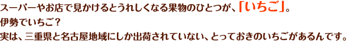 スーパーやお店で見かけるとうれしくなる果物のひとつが、「いちご」。伊勢でいちご?実は、三重県と名古屋地域にしか出荷されていない、とっておきのいちごがあるんです。