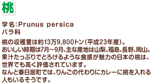 学名:Prunus persica バラ科 桃の収穫量は約13万9,800トン(平成23年産)。おいしい時期は7月~9月、主な産地は山梨、福島、長野、岡山。果汁たっぷりでとろけるような食感が魅力の日本の桃は、世界でも高く評価されています。なんと春日居町では、りんごの代わりにカレーに桃を入れる人もいるそうです。