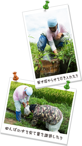 用水路から水を引き入れたり 田んぼの水を見て量を調節したり
