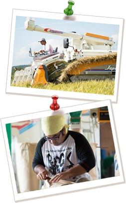 乾燥機や籾摺り機 定期的に自分たちの目で確認