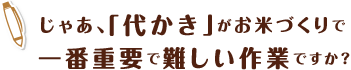 じゃあ、「代かき」がお米づくりで一番重要で難しい作業ですか?
