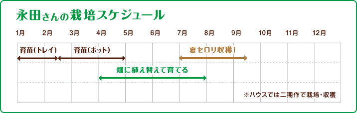 永田さんの栽培スケジュール ※ハウスでは二期作で栽培・収穫