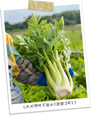 これが門外不出の「諏訪3号」!