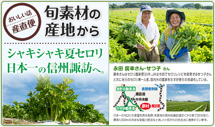 旬素材の産地から シャキシャキ夏セロリ 日本一の信州諏訪へ。