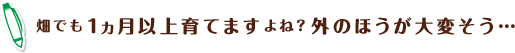 畑でも1ヵ月以上育てますよね?外のほうが大変そう…