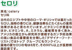 セロリ 英名:celery セリ科 古代のエジプトや中世のローマ・ギリシャでは薬だったセロリ。独特の香りには、鎮静効果などたくさんの薬用効果があると言われています。ビタミンCが豊富なほか、ビタミンB、A、ミネラル、繊維質を多く含み、アメリカの国立がん研究所が提唱するガン予防効果の高い食品の重要度を分類した「デザイナーフード・リスト」ではトップ グループにもランクイン。
露地の夏セロリの旬は8月で、その90%以上が長野県諏訪産です。