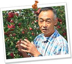 写真(上)おいしく実ってます、写真(下)消毒して黒い“包帯”で処置