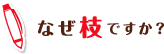 なぜ枝ですか?