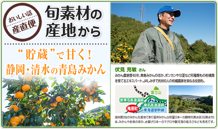 旬素材の産地から “貯蔵”で甘く!静岡・清水の青島みかん
