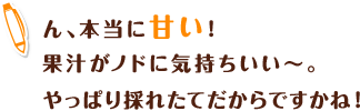 ん、本当に甘い!果汁がノドに気持ちいい~。やっぱり採れたてだからですかね!