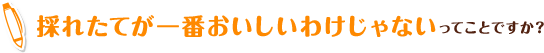 採れたてが一番おいしいわけじゃないってことですか?