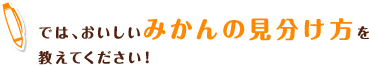 では、おいしいみかんの見分け方を教えてください!