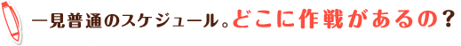 一見普通のスケジュール。どこに作戦があるの?