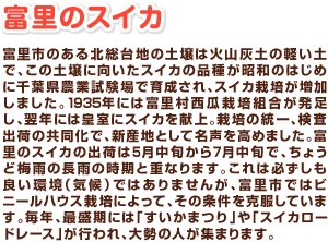 富里市のある北総台地の土壌は火山灰土の軽い土で、この土壌に向いたスイカの品種が昭和のはじめに千葉県農業試験場で育成され、スイカ栽培が増加しました。1935年には富里村西瓜栽培組合が発足し、翌年には皇室にスイカを献上。栽培の統一、検査出荷の共同化で、新産地として名声を高めました。富里のスイカの出荷は5月中旬から7月中旬で、ちょうど梅雨の長雨の時期と重なります。これは必ずしも良い環境(気候)ではありませんが、富里市ではビニールハウス栽培によって、その条件を克服しています。毎年、最盛期には「すいかまつり」や「スイカロードレース」が行われ、大勢の人が集まります。