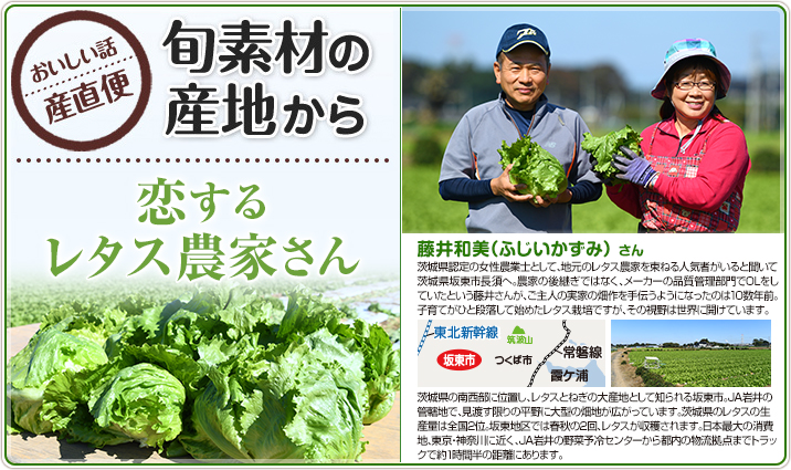 旬素材の産地から 恋するレタス農家さん 藤井和美(ふじいかずみ)さん
茨城県認定の女性農業士として、地元のレタス農家を束ねる人気者がいると聞いて茨城県坂東市長須へ。農家の後継ぎではなく、メーカーの品質管理部門でOLをしていたという藤井さんが、ご主人の実家の畑作を手伝うようになったのは10数年前。子育てがひと段落して始めたレタス栽培ですが、その視野は世界に開けています。
茨城県の南西部に位置し、レタスとねぎの大産地として知られる坂東市。JA岩井の管轄地で、見渡す限りの平野に大型の畑地が広がっています。茨城県のレタスの生産量は全国2位。坂東地区では春秋の2回、レタスが収穫されます。日本最大の消費地、東京・神奈川に近く、JA岩井の野菜予冷センターから都内の物流拠点までトラックで約1時間半の距離にあります。