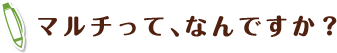 マルチって、なんですか?