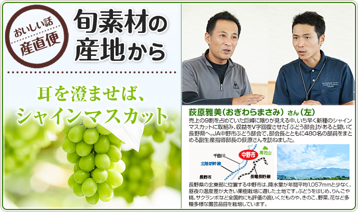 旬素材の産地から 耳を澄ませば、シャインマスカット 荻原雅美(おぎわらまさみ) さん(左)
売上の9割を占めていた巨峰に陰りが見える中、いち早く新種のシャインマスカットに取組み、収益をV字回復させた「ぶどう部会」があると聞いて長野県へ。JA中野市ぶどう部会で、部会長とともに480名の部員をまとめる副生産指導部長の荻原さんを訪ねました。
長野県の北東部に位置する中野市は、降水量が年間平均1,057mmと少なく、昼夜の温度差が大きい果樹栽培に適した土地です。ぶどうをはじめ、りんごや桃、サクランボなど全国的にも評価の高いくだものや、きのこ、野菜、花など多種多様な園芸品目を栽培しています。