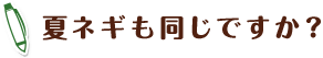 夏ネギも同じですか?
