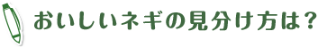おいしいネギの見分け方は?