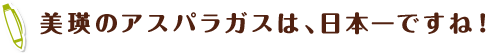 美瑛のアスパラガスは、日本一ですね!