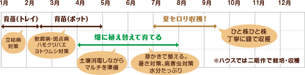永田さんの栽培スケジュール ※ハウスでは二期作で栽培・収穫