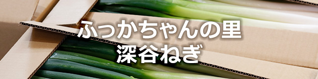 ふっかちゃんの里 深谷ねぎ